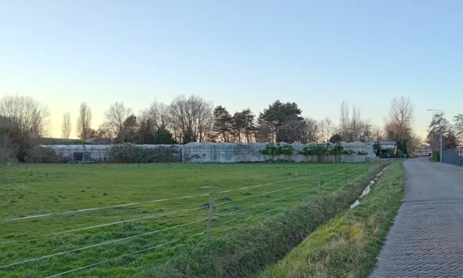 Almondehoeve25-12-2025